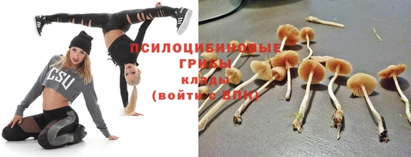 соль курить ск Михайловка