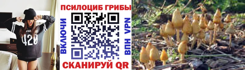 Псилоцибиновые грибы прущие грибы  хочу наркоту  Тавда 